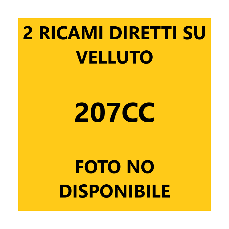 Logo 207 CC con 2 ricami diretti su tappeti anteriori