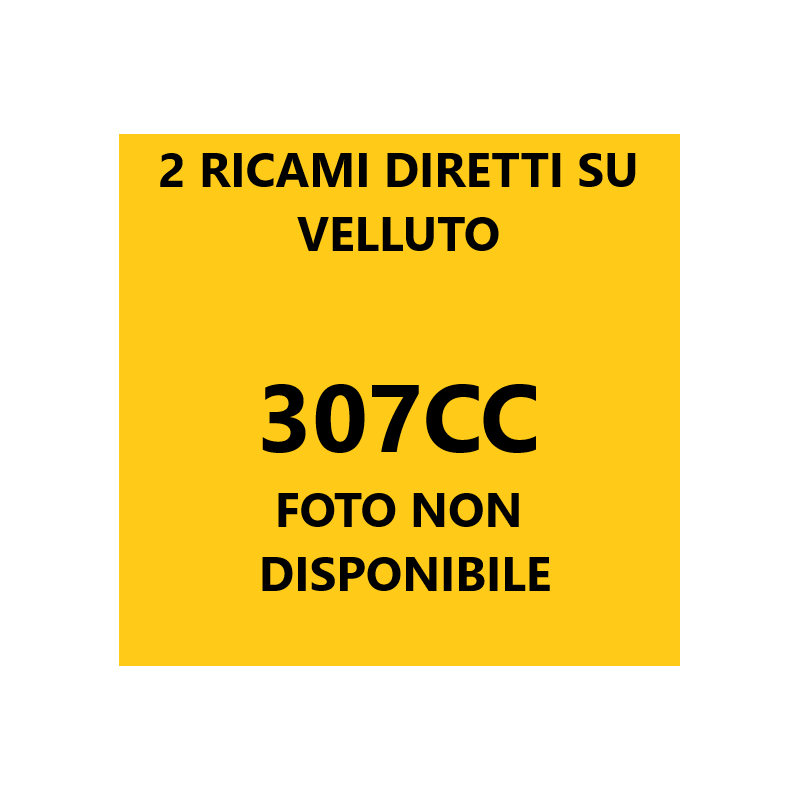 Logo 307 CC con 2 ricami diretti su tappeti anteriori