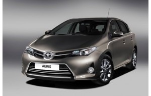 Auris