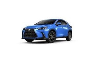 NX