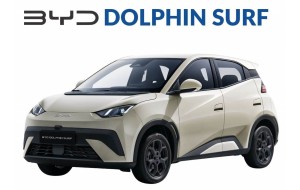 Dolphin Surf dal 2025-
