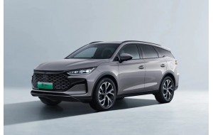 Tang dal 2024- 7 posti