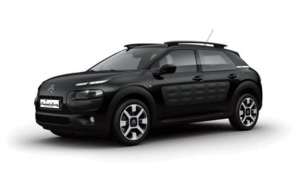 C4 Cactus